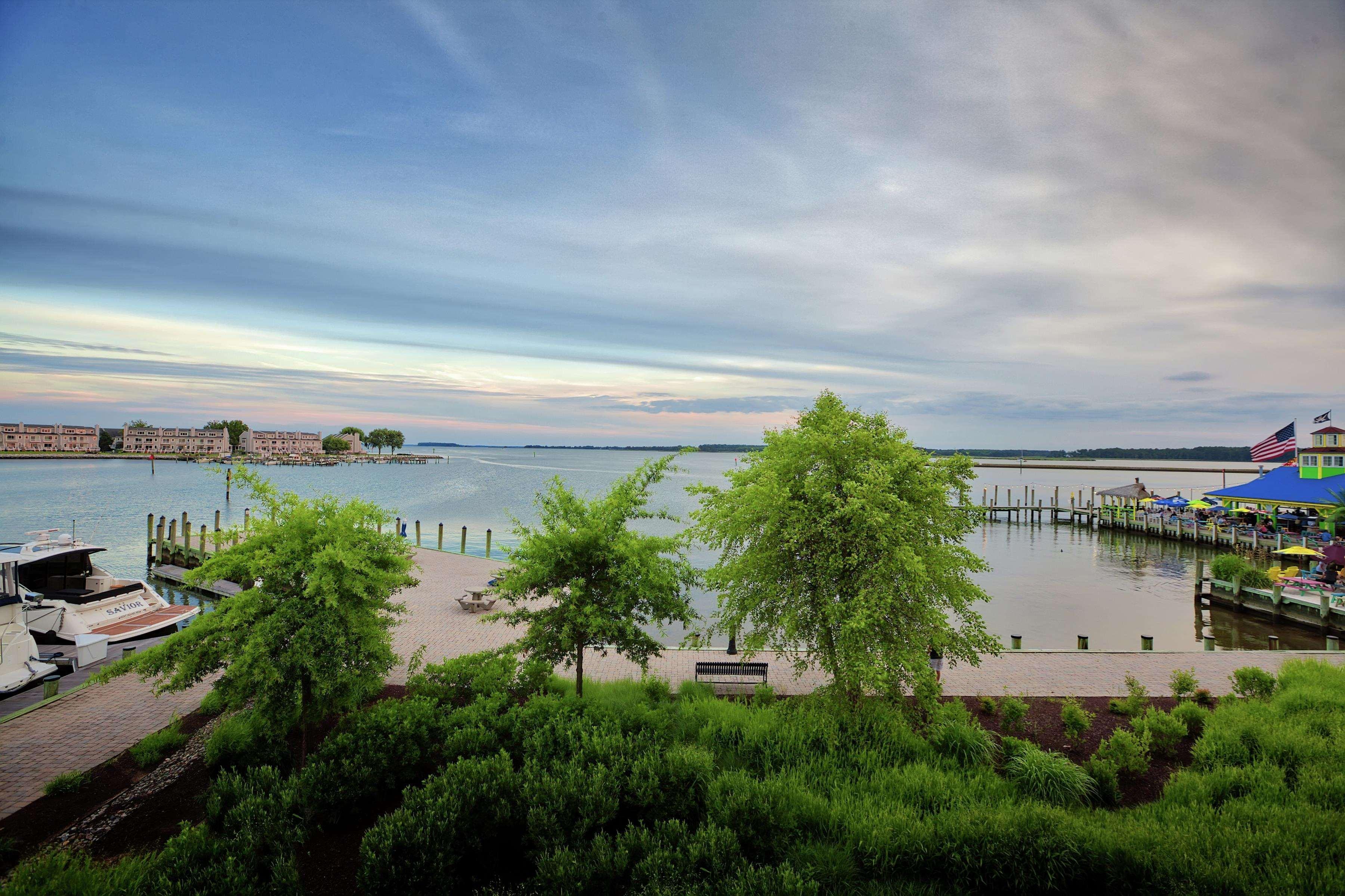 Hilton Garden Inn Kent Island Marina Grasonville Экстерьер фото